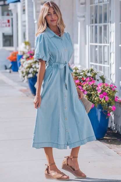 Shiloh Bubble Sleeve Long Dress-3