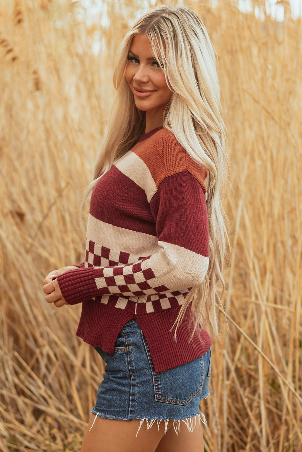 Noelle Checkered Knitted Sweater-2